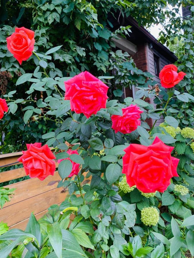 Lovely II Space Share A Room East York Canada โตรอนโต ภายนอก รูปภาพ