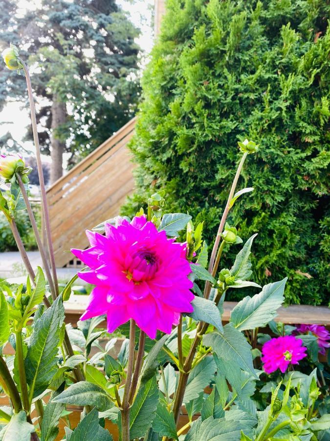 Lovely II Space Share A Room East York Canada โตรอนโต ภายนอก รูปภาพ